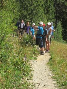 Hiking & Walking Tours in Dillon