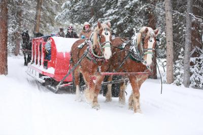 Golden Horseshoe Sleigh Rides | Colorado Mountain Activities